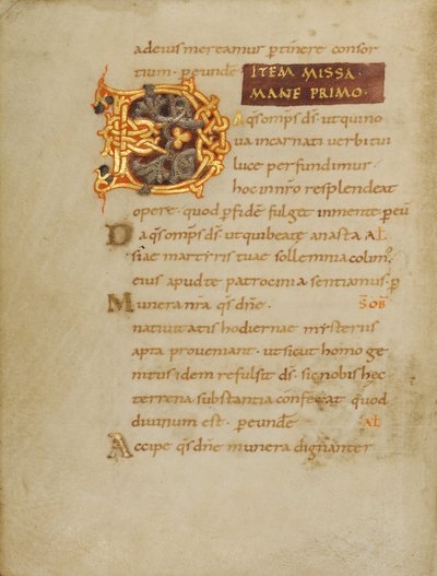 Decorated Initial D by Unbekannt Unbekannt